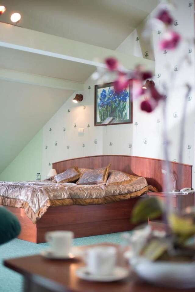 Отели типа «постель и завтрак» Bobrowa Dolina Боброва-25